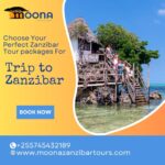 MoonaZanzibar Tours