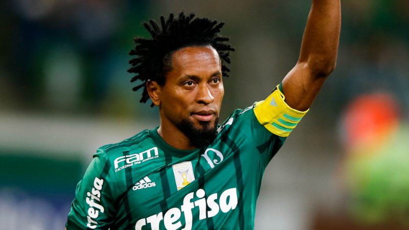 Giới thiệu chung về Zé Roberto