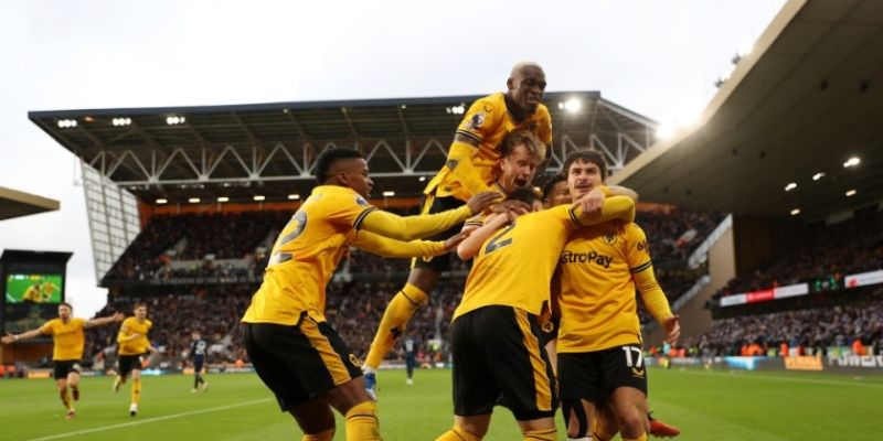 Wolverhampton Wanderers Bề Dày Lịch Sử Và Thành Tích